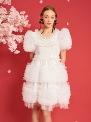 <b>DREAM</b> Fey Tulle Ruffle Dress